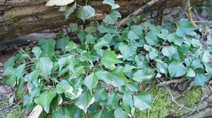 DSC00201