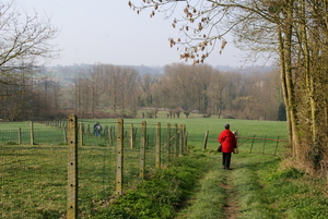 20110326 Michelbeke (61)