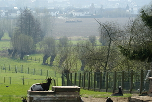 20110326 Michelbeke 300 (220)