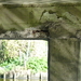 P1080521