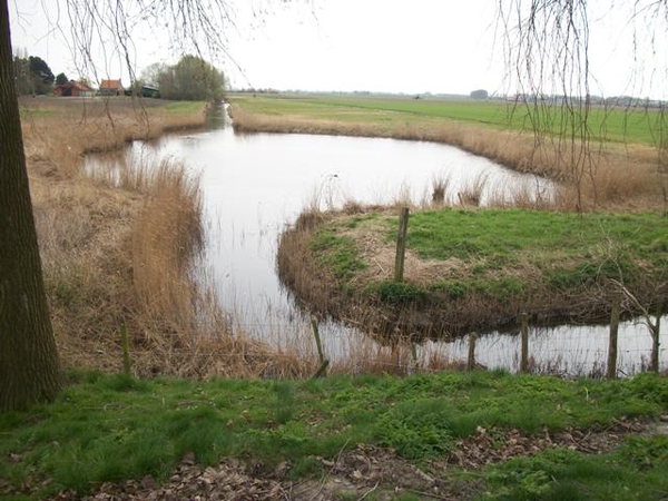 056-Polders en kreken in St-Laureins-Belgi