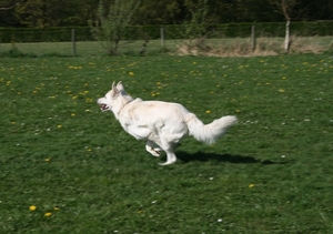 april 2011 (21)