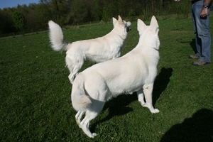 april 2011 (27)