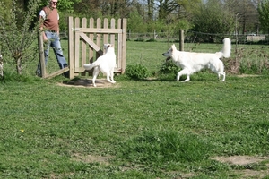 april 2011 (5)