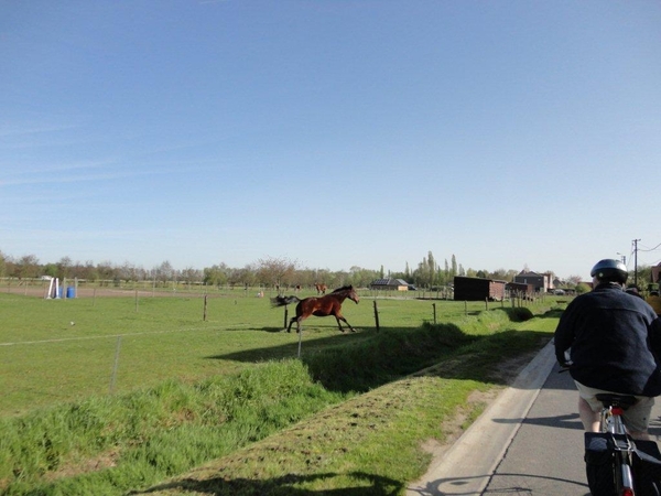 Fiets Westuit Zevergem 2011 003