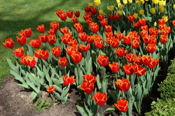 kasteel groot bijgaarden 030