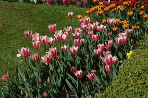 kasteel groot bijgaarden 033