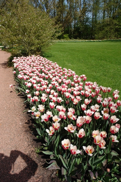 kasteel groot bijgaarden 048