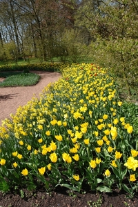 kasteel groot bijgaarden 051