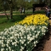 kasteel groot bijgaarden 056