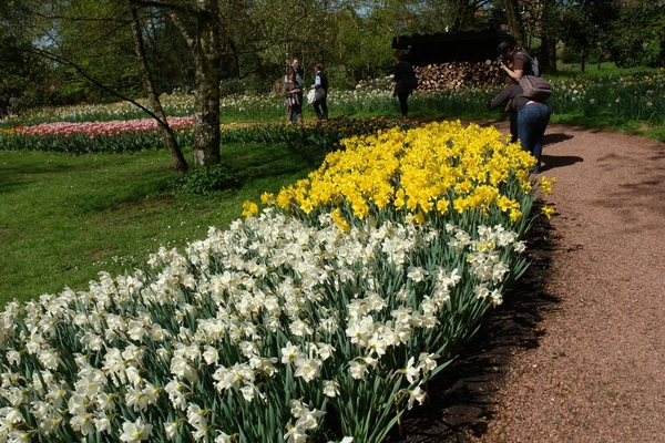kasteel groot bijgaarden 056
