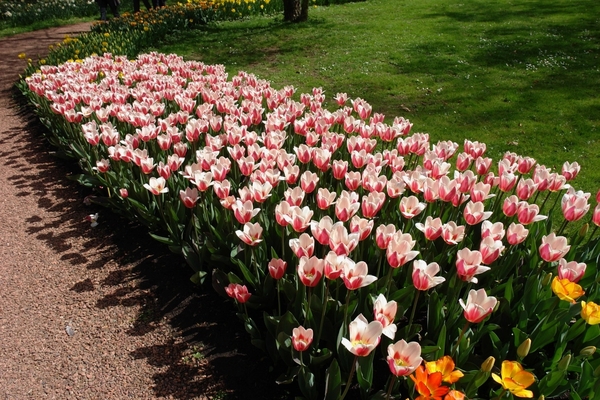 kasteel groot bijgaarden 062