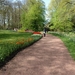 kasteel groot bijgaarden 063