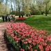 kasteel groot bijgaarden 070