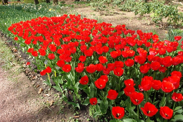 kasteel groot bijgaarden 075