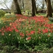 kasteel groot bijgaarden 076