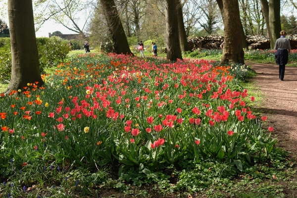 kasteel groot bijgaarden 076