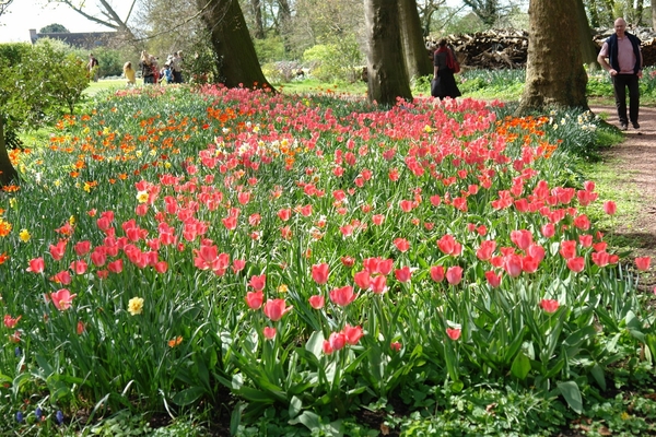 kasteel groot bijgaarden 077