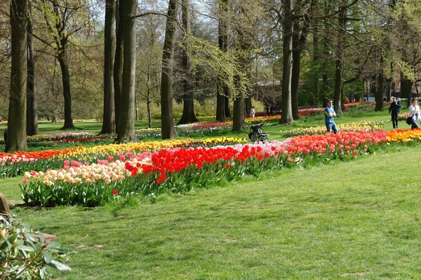 kasteel groot bijgaarden 078