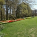 kasteel groot bijgaarden 079