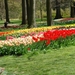 kasteel groot bijgaarden 080