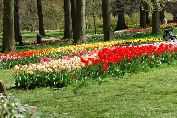 kasteel groot bijgaarden 080