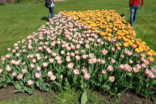 kasteel groot bijgaarden 081