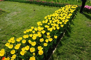 kasteel groot bijgaarden 093