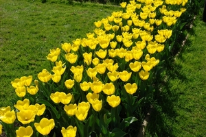 kasteel groot bijgaarden 094