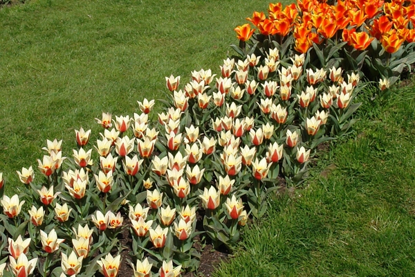 kasteel groot bijgaarden 108