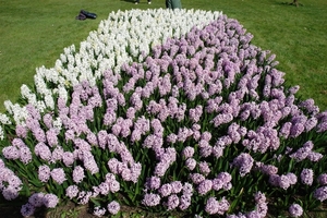 kasteel groot bijgaarden 115