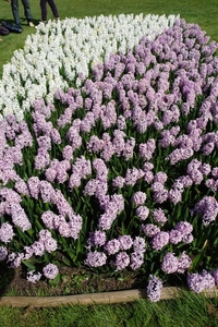 kasteel groot bijgaarden 116