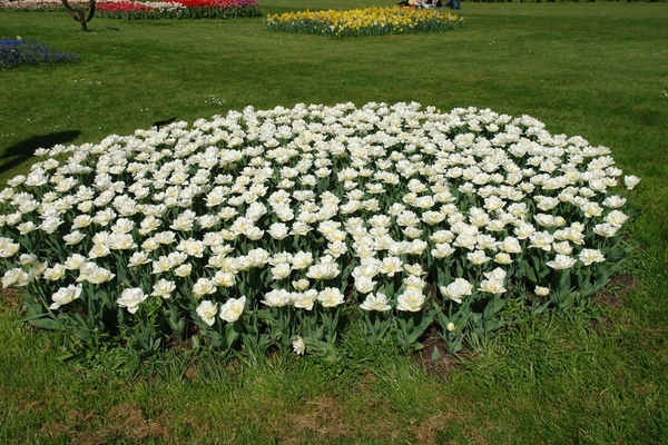 kasteel groot bijgaarden 117