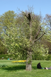 kasteel groot bijgaarden 123