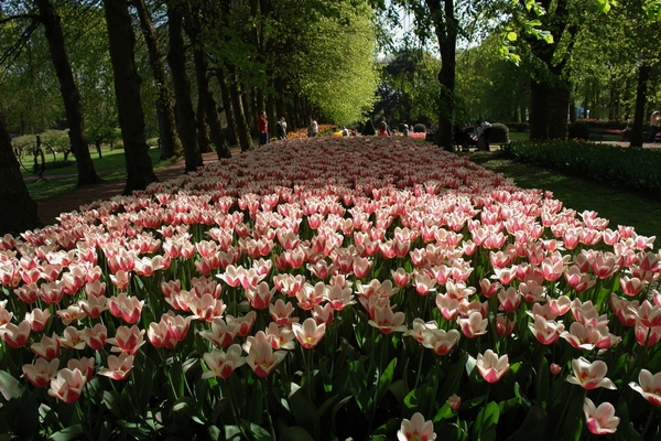 kasteel groot bijgaarden 129