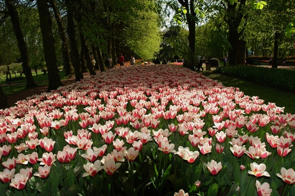 kasteel groot bijgaarden 130