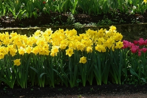 kasteel groot bijgaarden 189