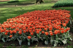 kasteel groot bijgaarden 227