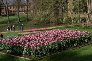 kasteel groot bijgaarden 233