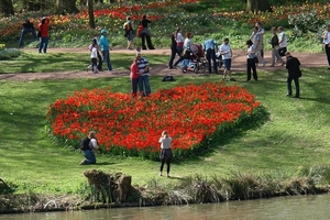 kasteel groot bijgaarden 241