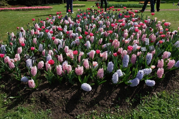 kasteel groot bijgaarden 242