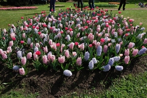 kasteel groot bijgaarden 243