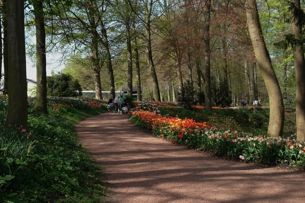 kasteel groot bijgaarden 259