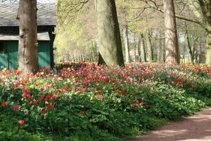 kasteel groot bijgaarden 265