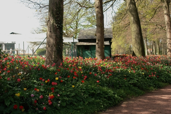 kasteel groot bijgaarden 266