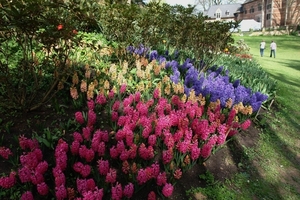 kasteel groot bijgaarden 286