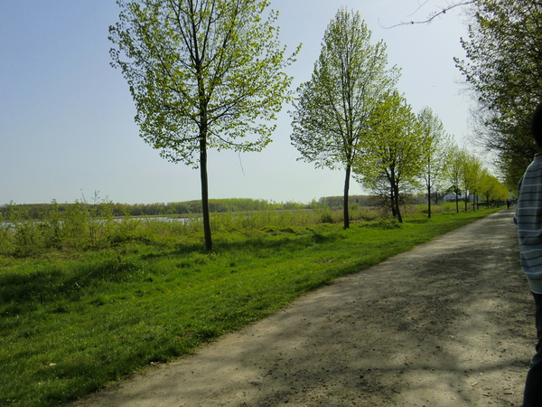 CIMG0856
