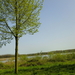 CIMG0860