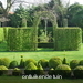 ontluikende tuin