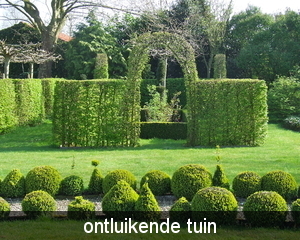 ontluikende tuin